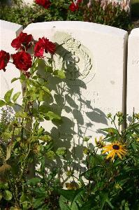 Dozinghem Military Cemetery - Williams, Arthur